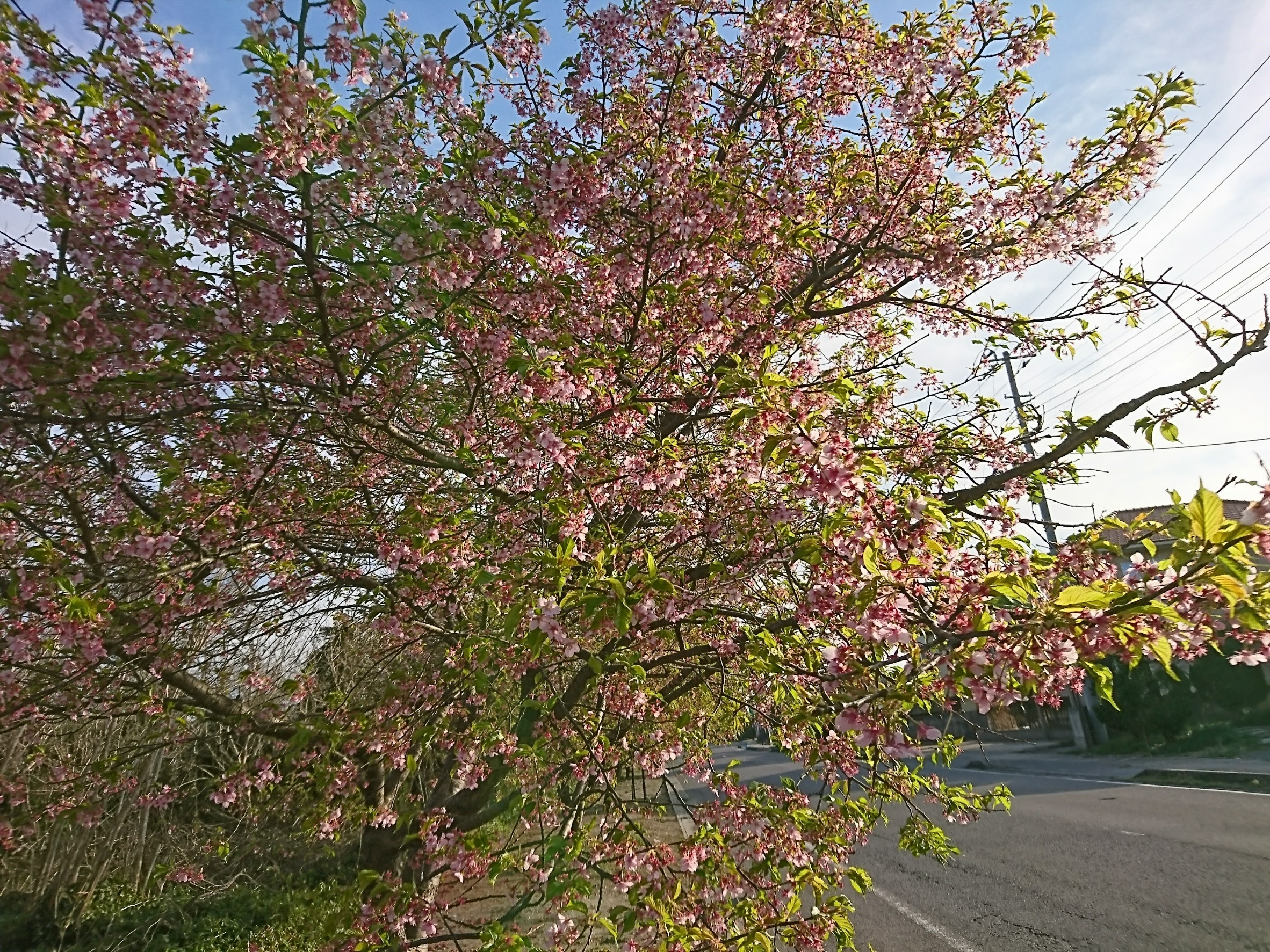 町へ出よう！_180316_0003
