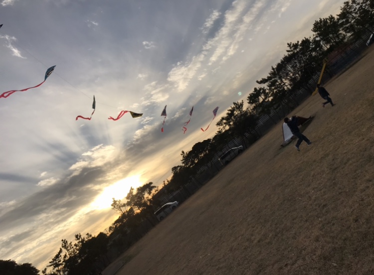 3C7ECE73-F394-40FA-9C77-3574D1D6B5E1