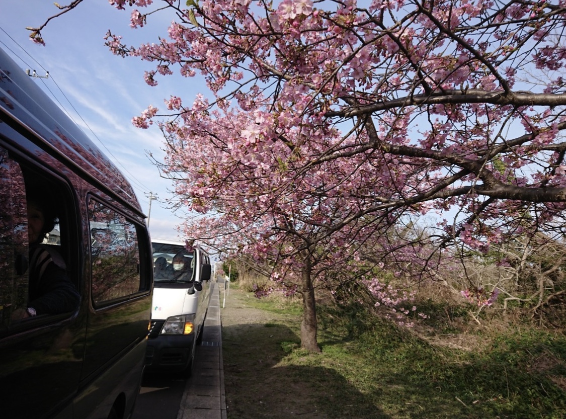 C30C8DA4-8D27-4CA0-8187-AB3092FFFBDF