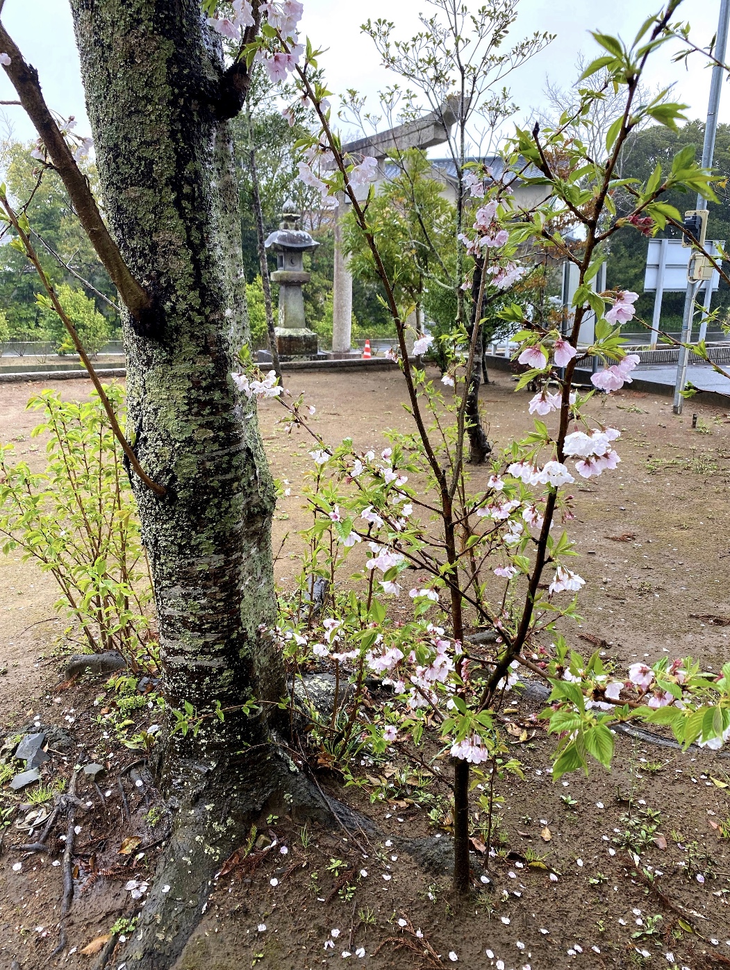 6748AD1A-C6FF-4366-A3C8-5697AF1055AA