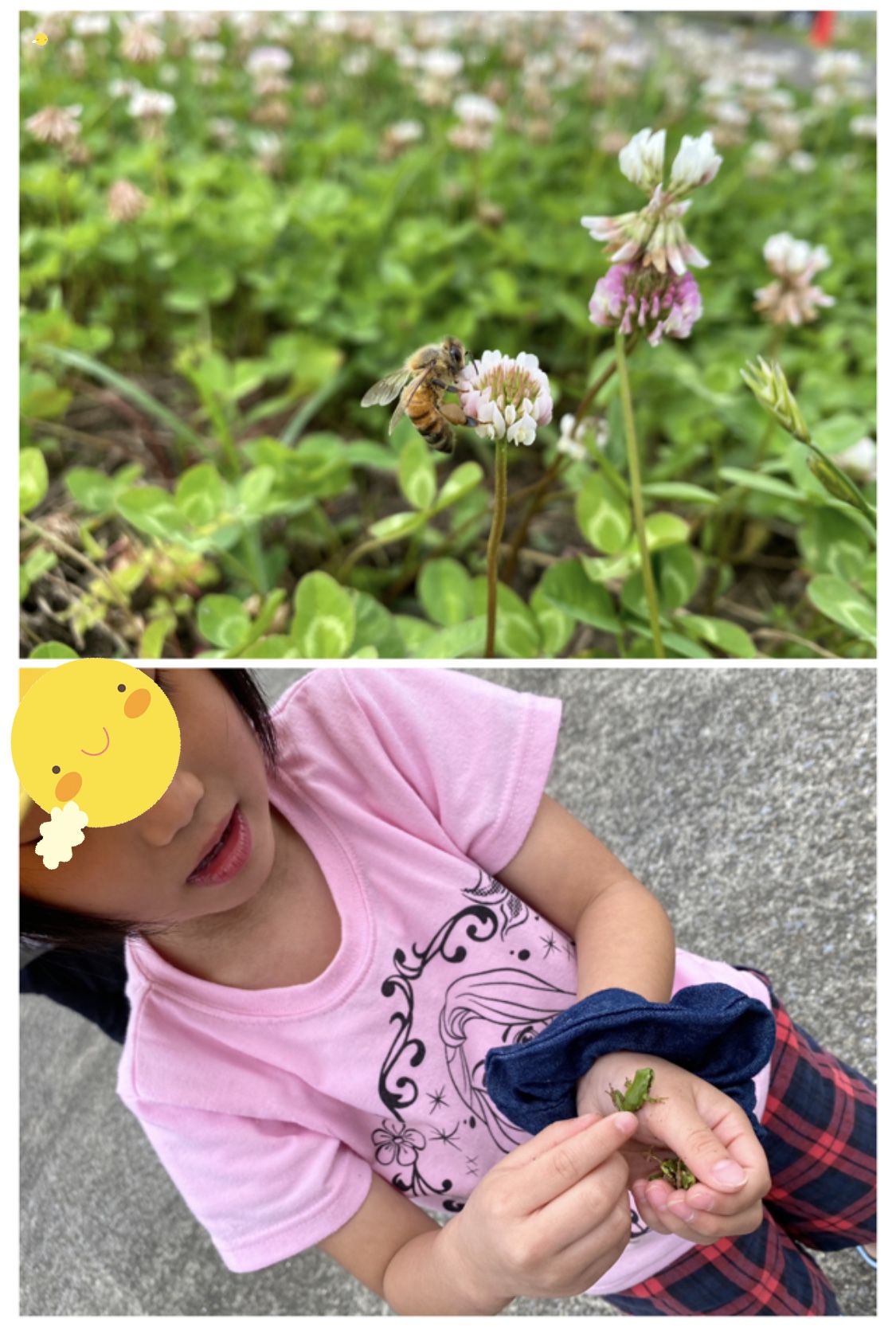 E3A9BAD5-BDAA-400D-9B9D-7503ACABC0E1