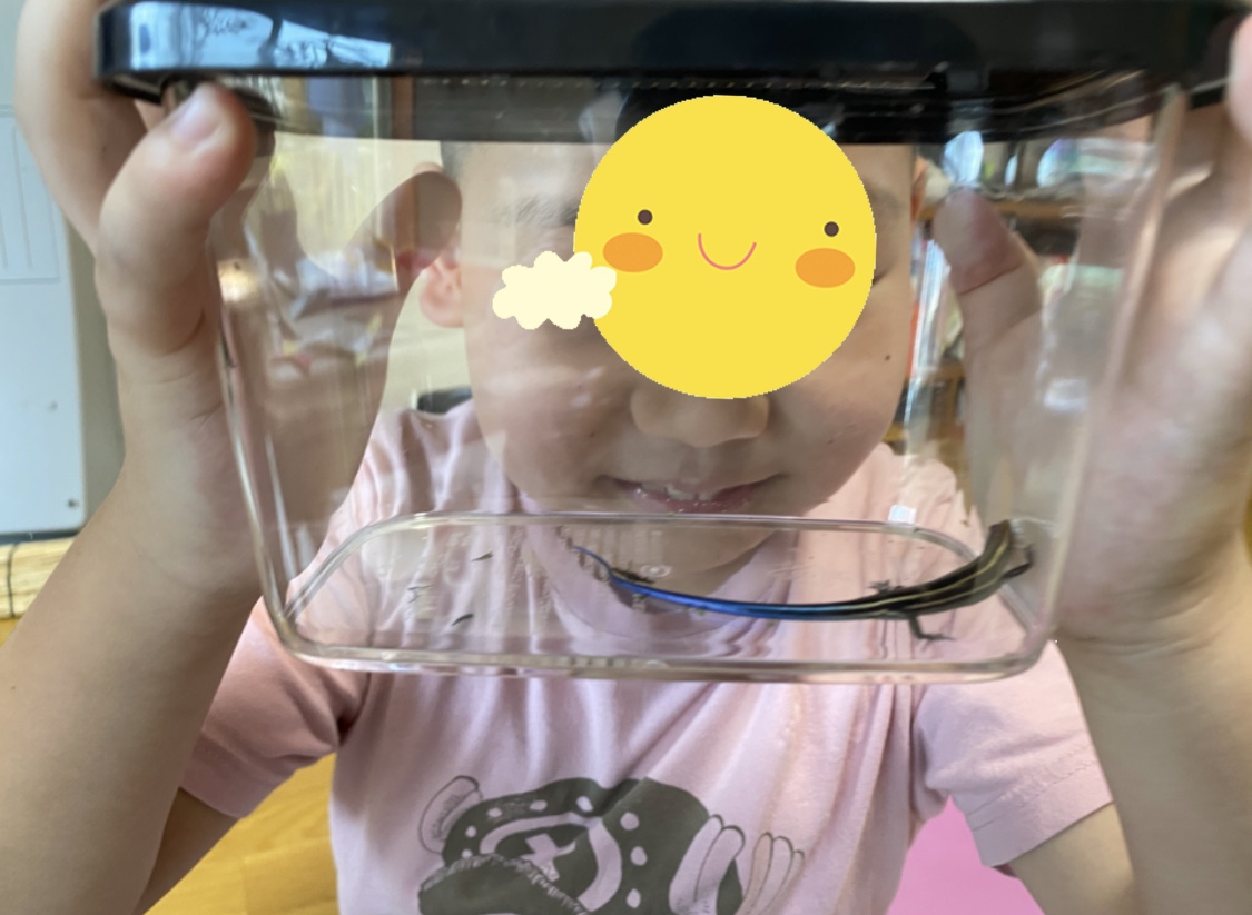 1182E421-9D1C-4E52-92F1-EFAFD232DBD6