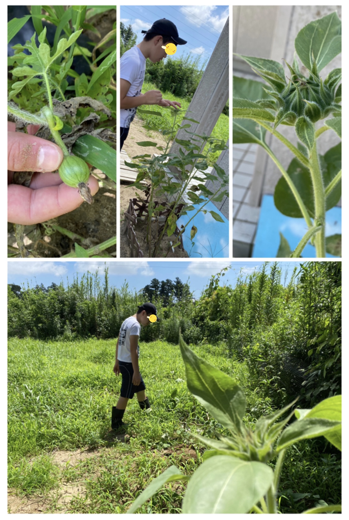 4D7FAC91-5487-4BA9-95E0-682E1F2D6CA6