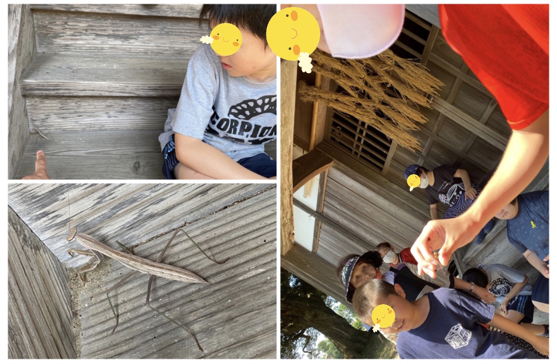 547552A0-1588-4B47-BE79-2874130375FB