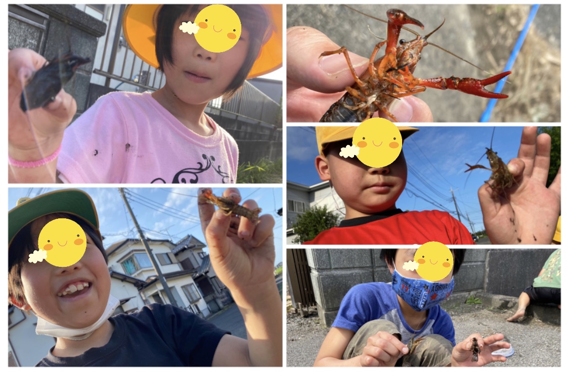 6F6D9F68-255A-4289-B28F-38554F186E0D