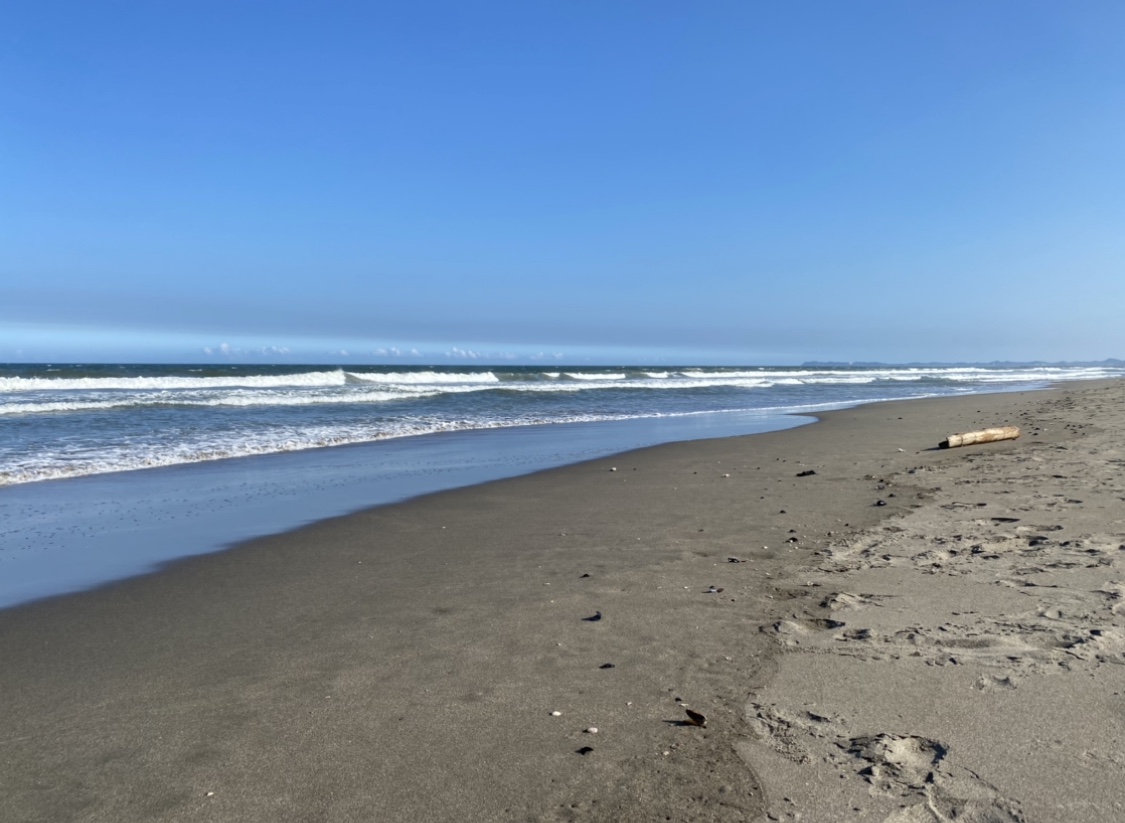 BB3E5D46-331F-414B-9F29-C9A6427F56A6