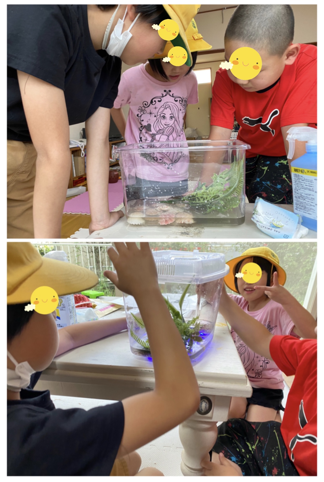 C2E5FF53-5602-44B0-BDA4-8877E1DDBFEC