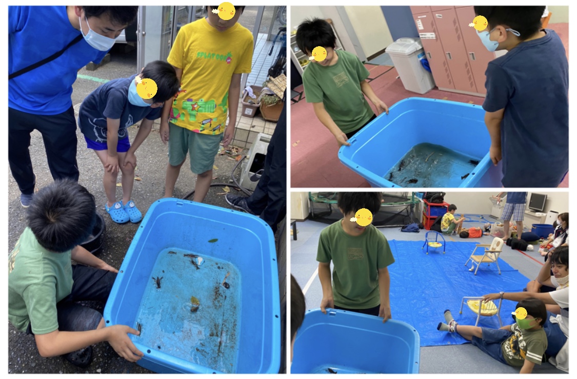 D6F8156B-65C3-46F6-A21F-690226995514