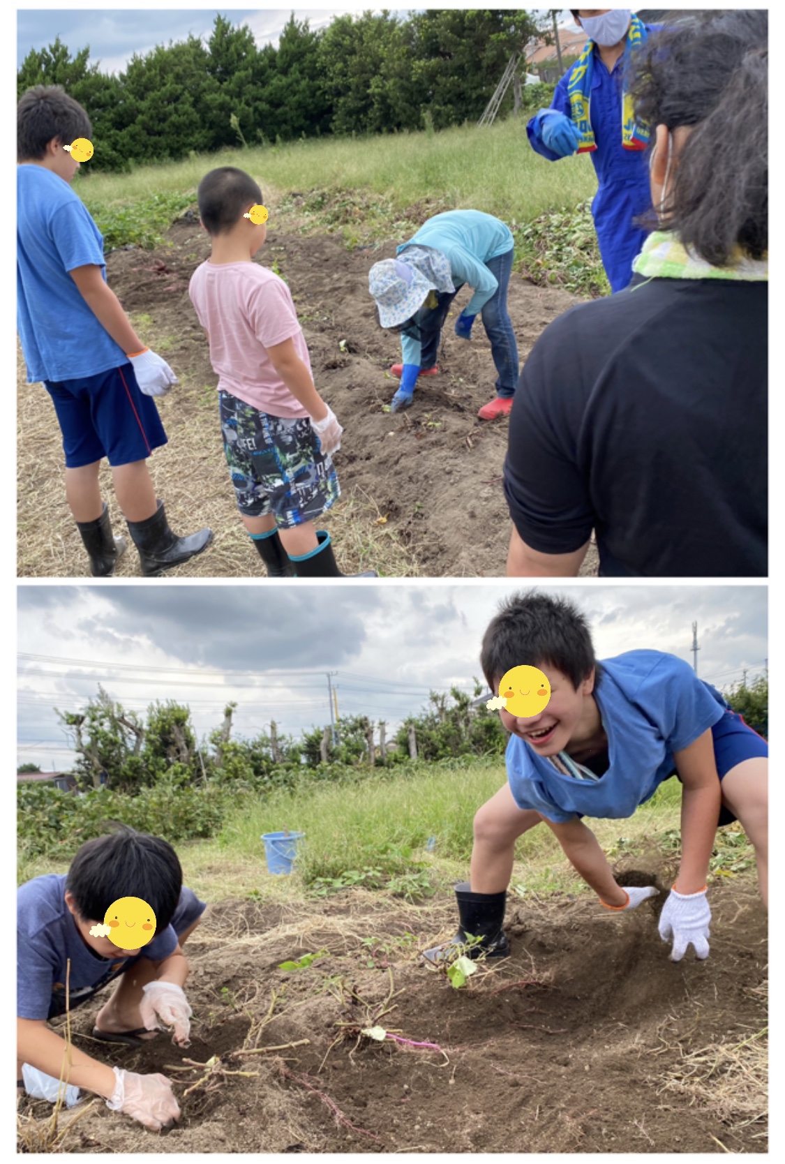 07737B48-2623-4C75-8A33-CC1C6473DF54