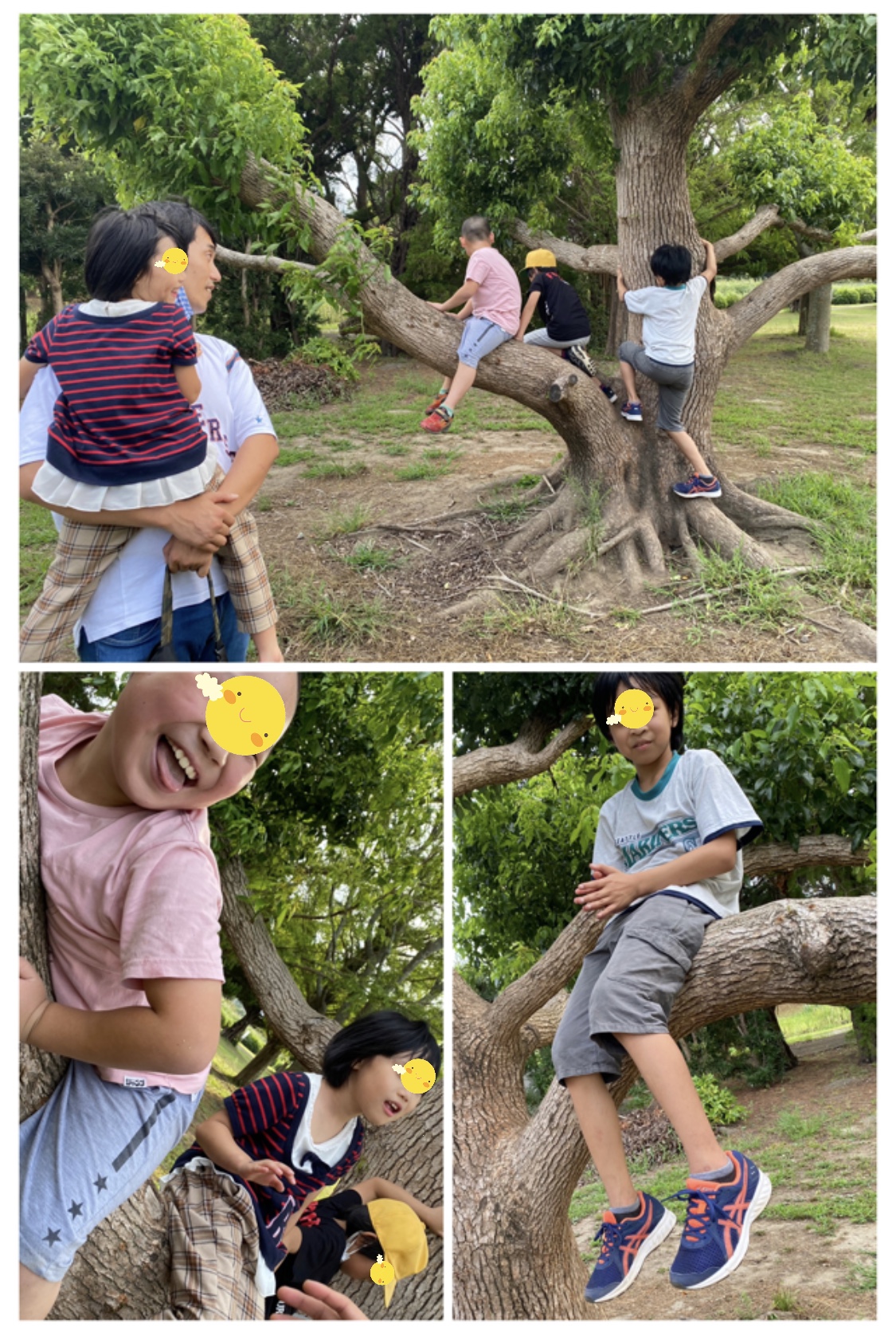 3120F85A-6626-4486-9467-2CCF622B82A5