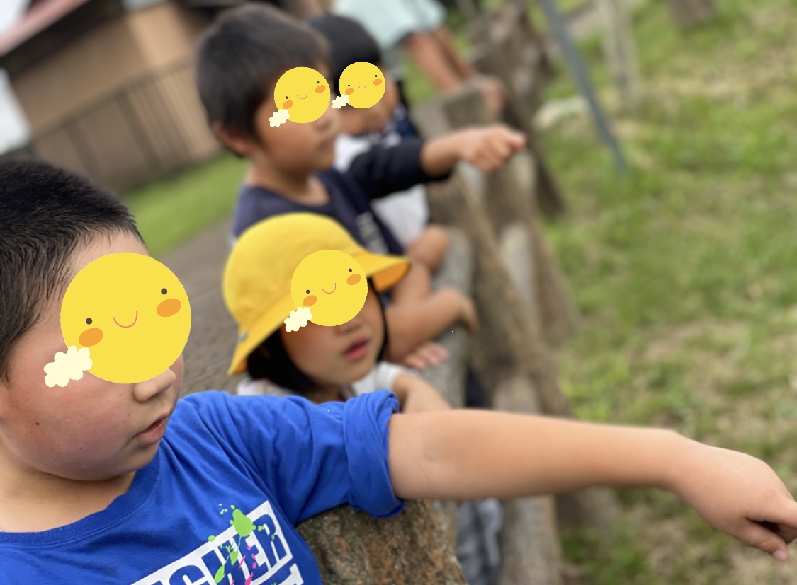 00CD1C20-FC9A-45C8-BF86-B8F5D70D5E82