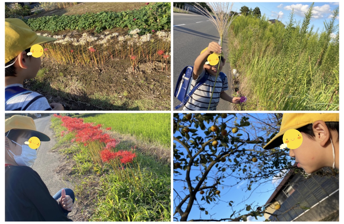 164F294A-D3AA-4AE7-9728-0FEEE3DDD334