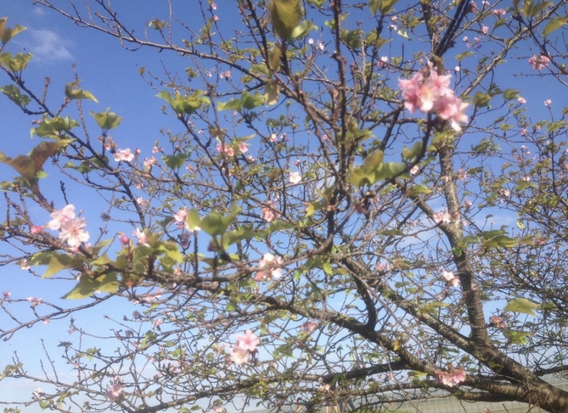 2D97E769-EA56-42F5-9F63-FC46EB61DC80