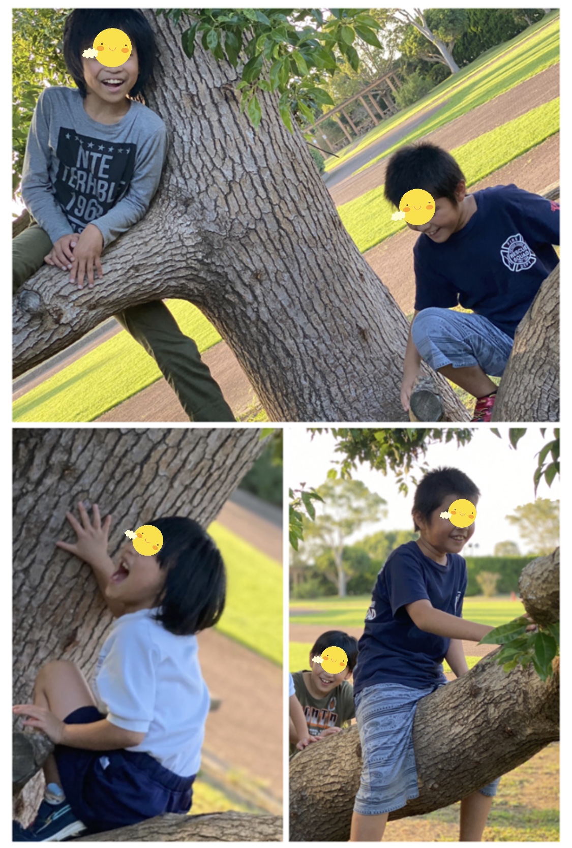 349CFD73-E506-4BFC-861D-68A402181E2A