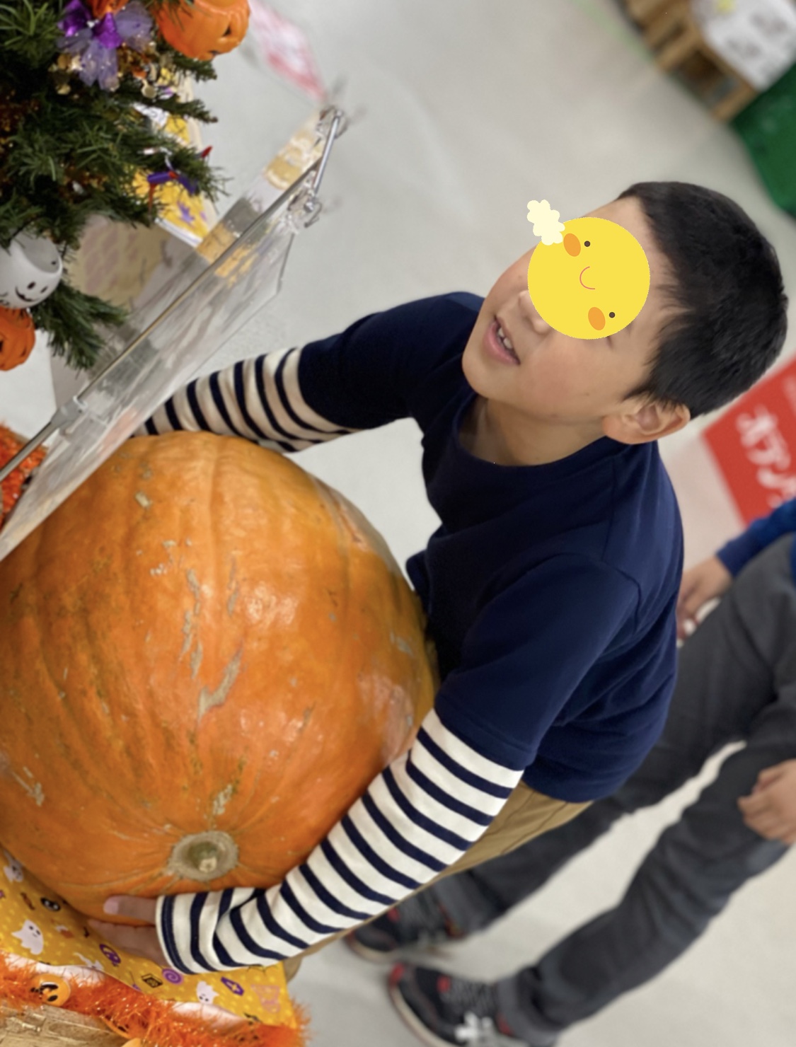 8509B653-1A72-4D28-888C-F628645667C3