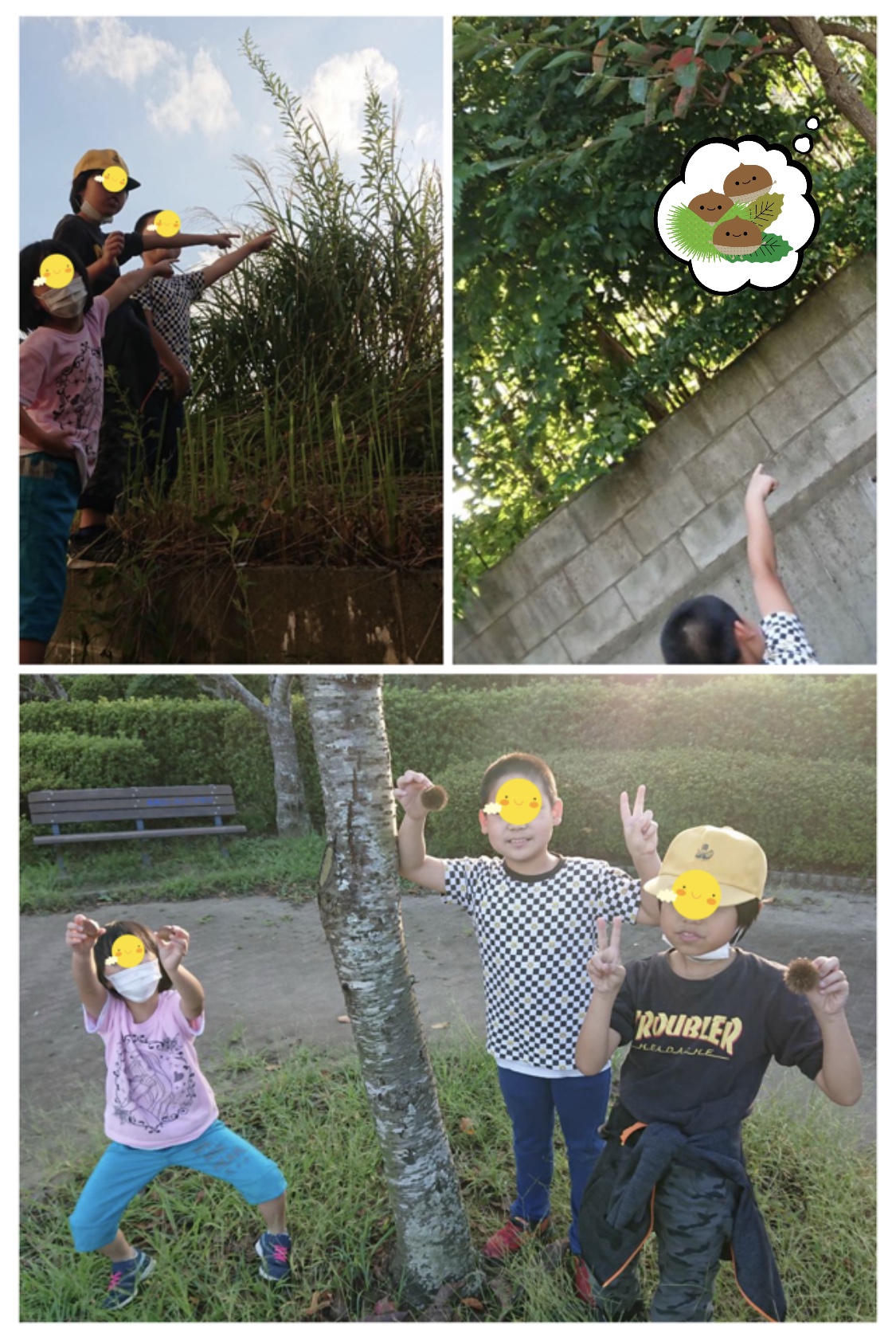 90B6F033-6A82-4B48-A3C8-9C34CE79E78B