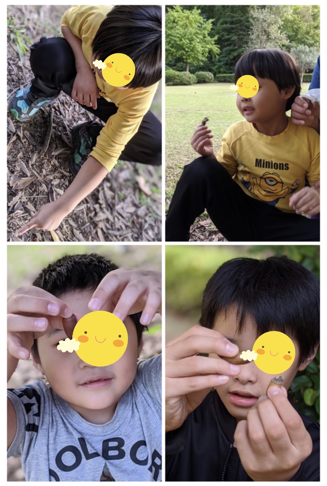 97D237B0-428B-49DA-8BDC-C6948B0F605A