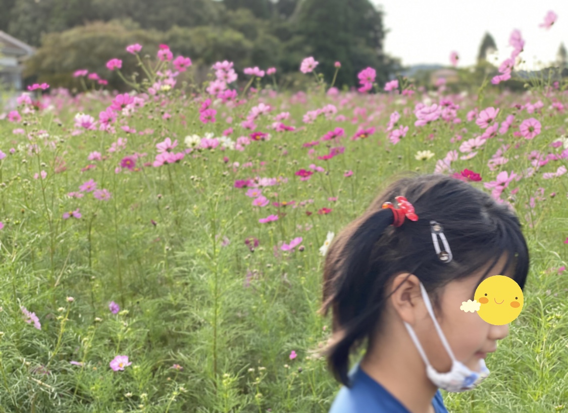 C8A78D94-37E3-4B7E-8CEF-229CC766B160