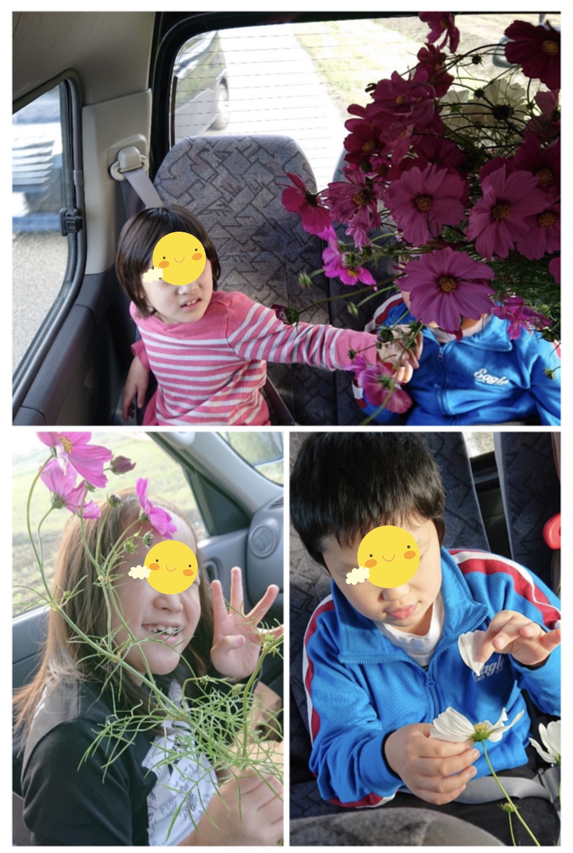 E47F0FE6-6B45-4B58-B40D-D2EB5CFDC926