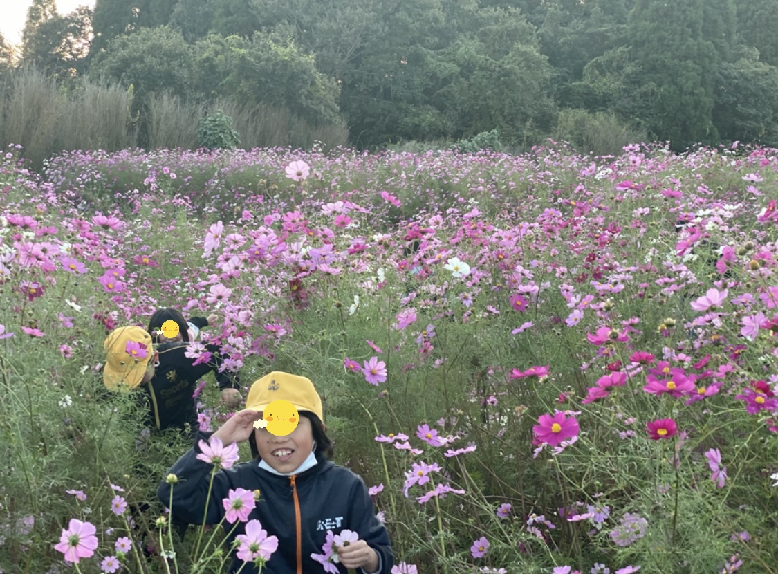 040B48E5-DDE9-488D-9F6F-46E8AB078C9C