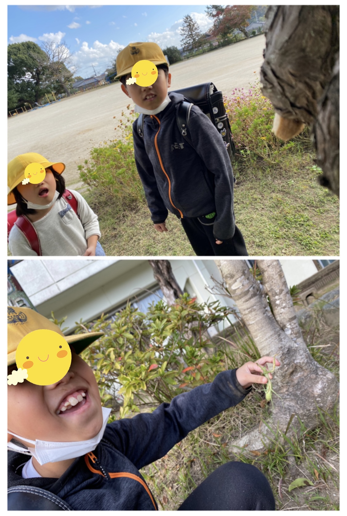 8AE4FA8E-151C-4FFE-A87D-D7979A32F599