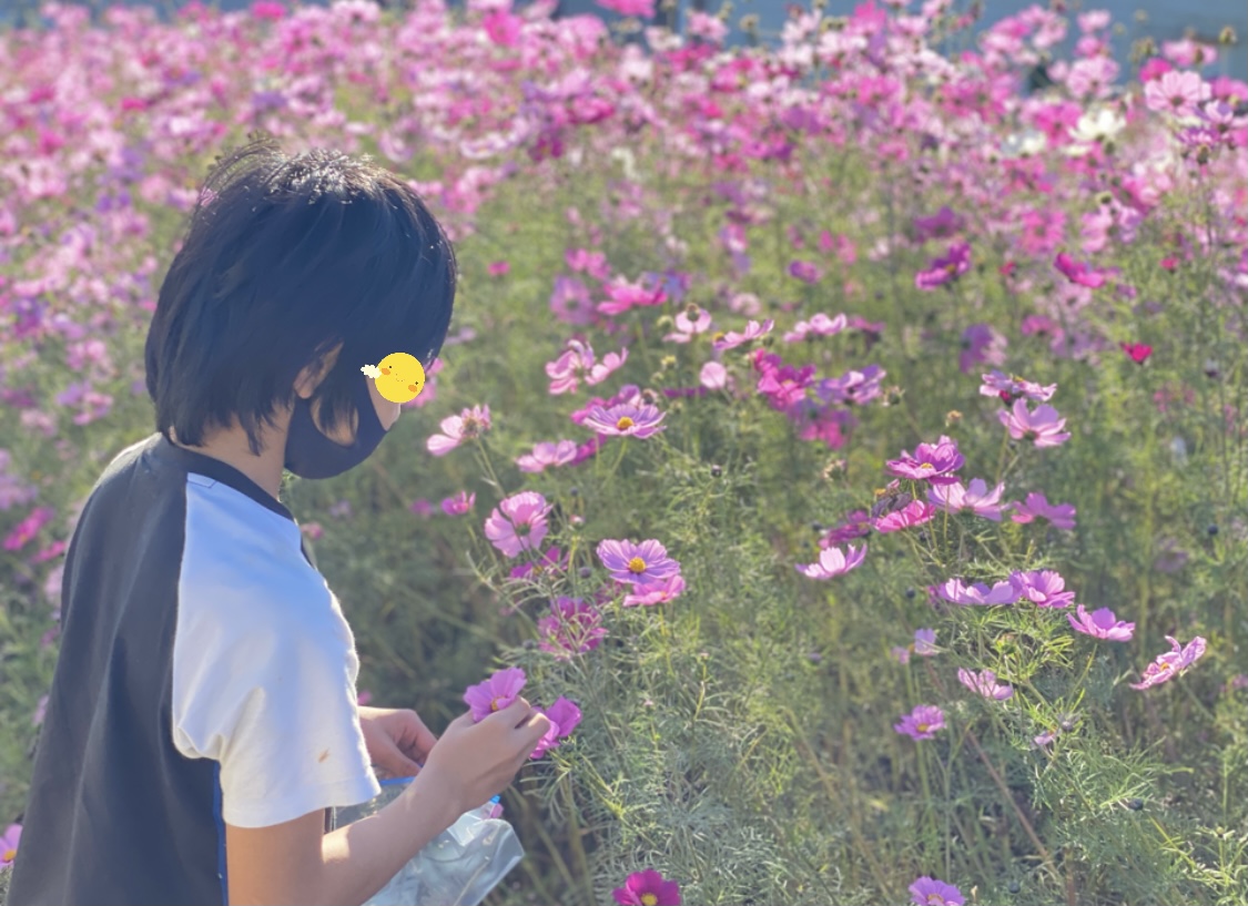 B481AA2C-51EA-464D-B23C-5138ABCC5E2E