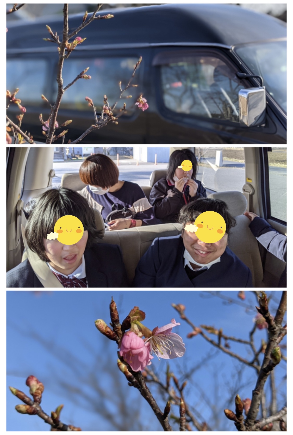 56B6DF7F-9C27-4C62-B6AB-F2900F71B80B