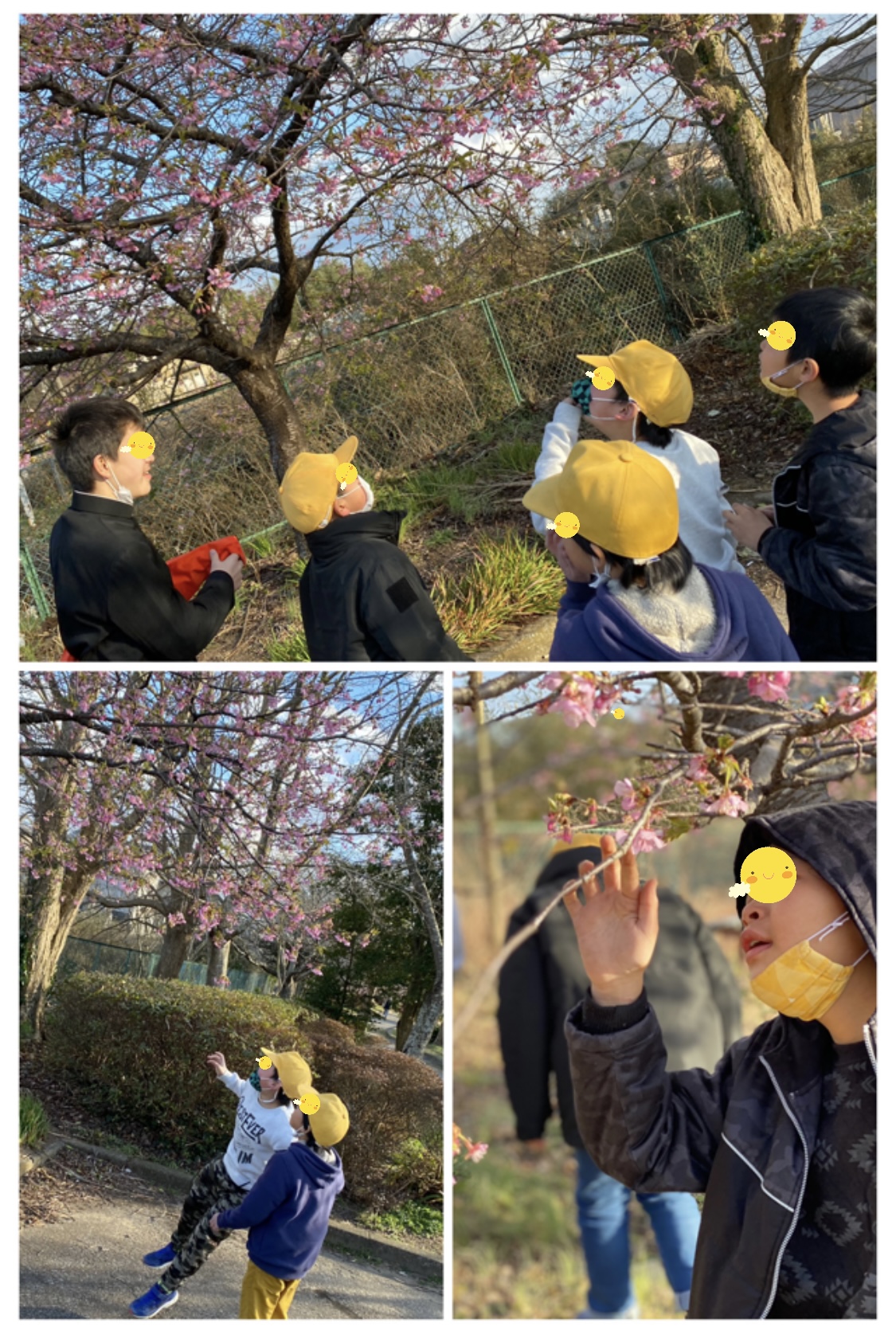 5D15BFDB-E2DD-4952-B49A-C5B43FD330C5