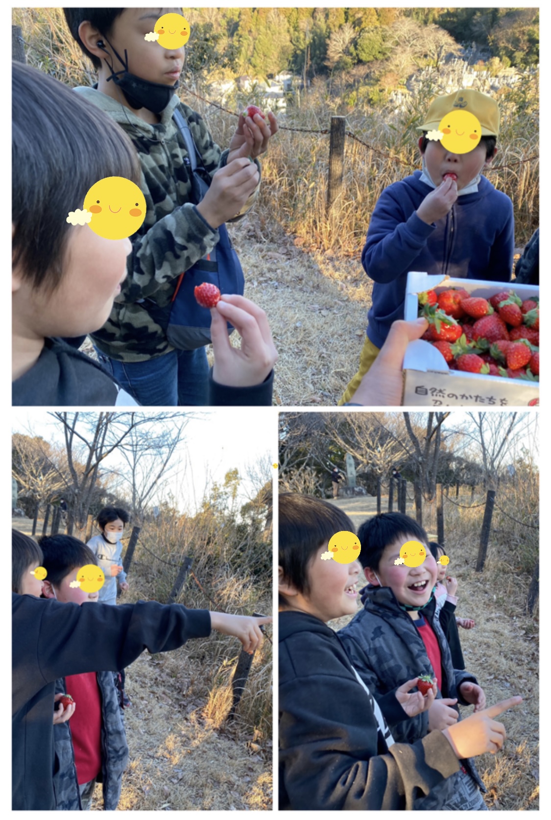 E78FB962-034E-4242-89CD-7378C1147614