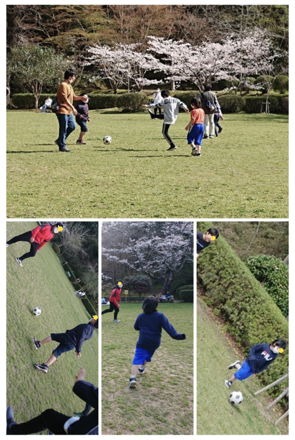 08D3023A-6DA8-4B8C-A8EA-D85F462AB9CD