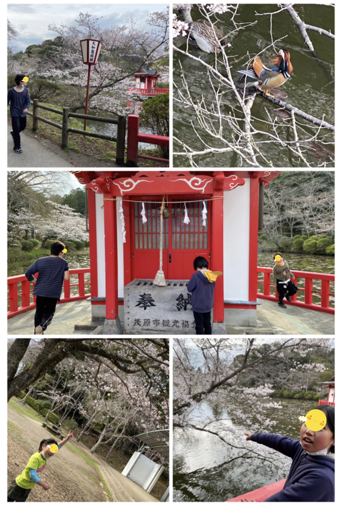 97120FEC-70E1-4A44-94B1-021DDE225C6D