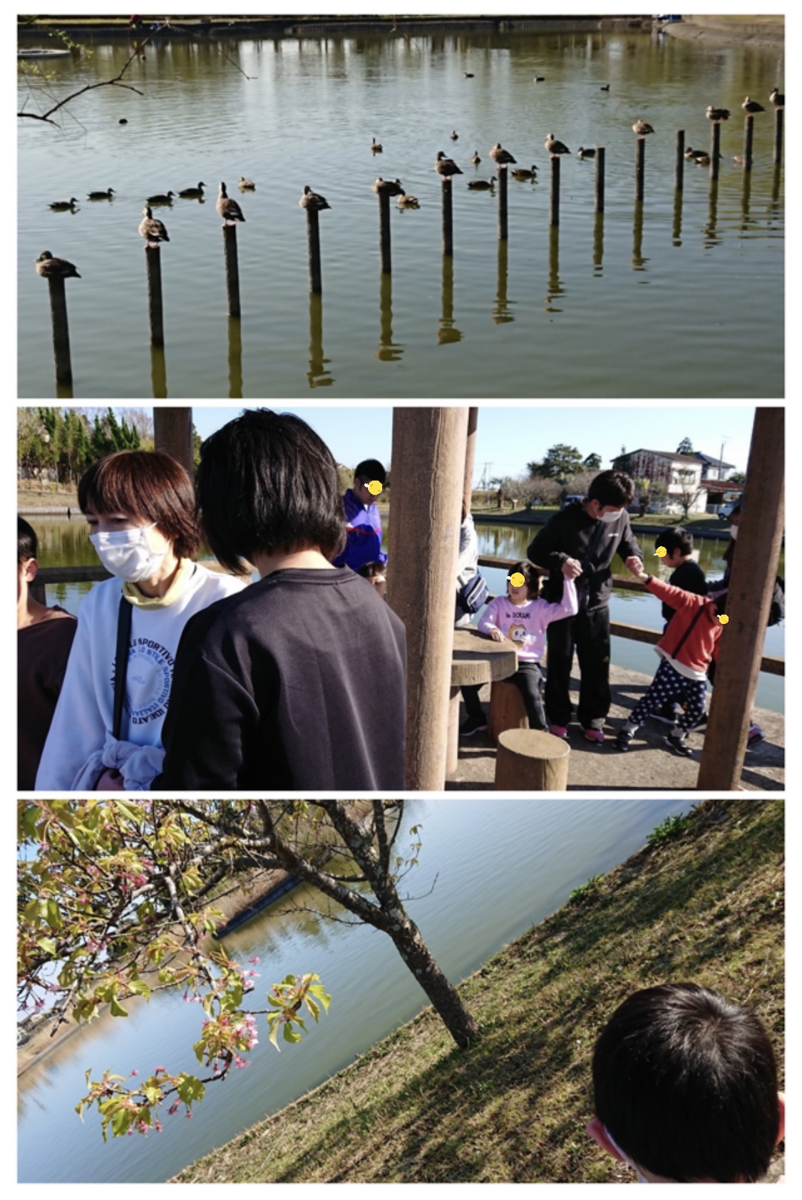 C96367D0-C592-4F8E-A3AC-60BB2FF16CFF