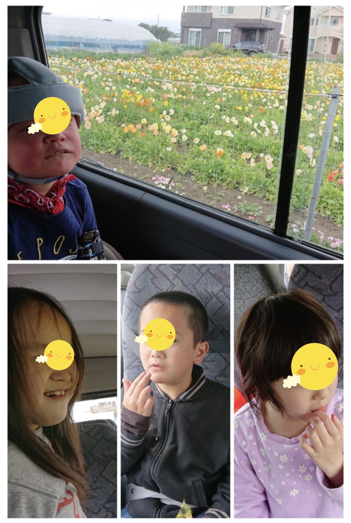 1BCB0736-7361-427F-A520-29CBFB73D7A0