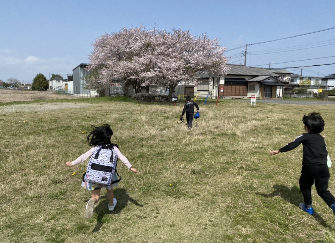 265589F4-29F7-469B-B550-218D396A64D8