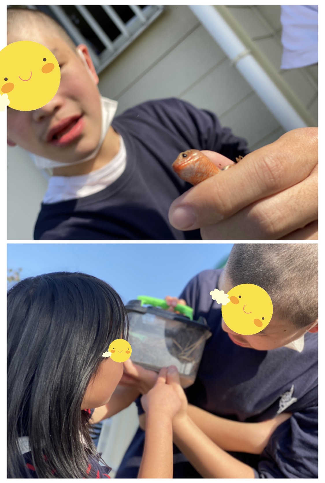 391940EE-BF74-4CE2-B350-5CFC162D8ADA