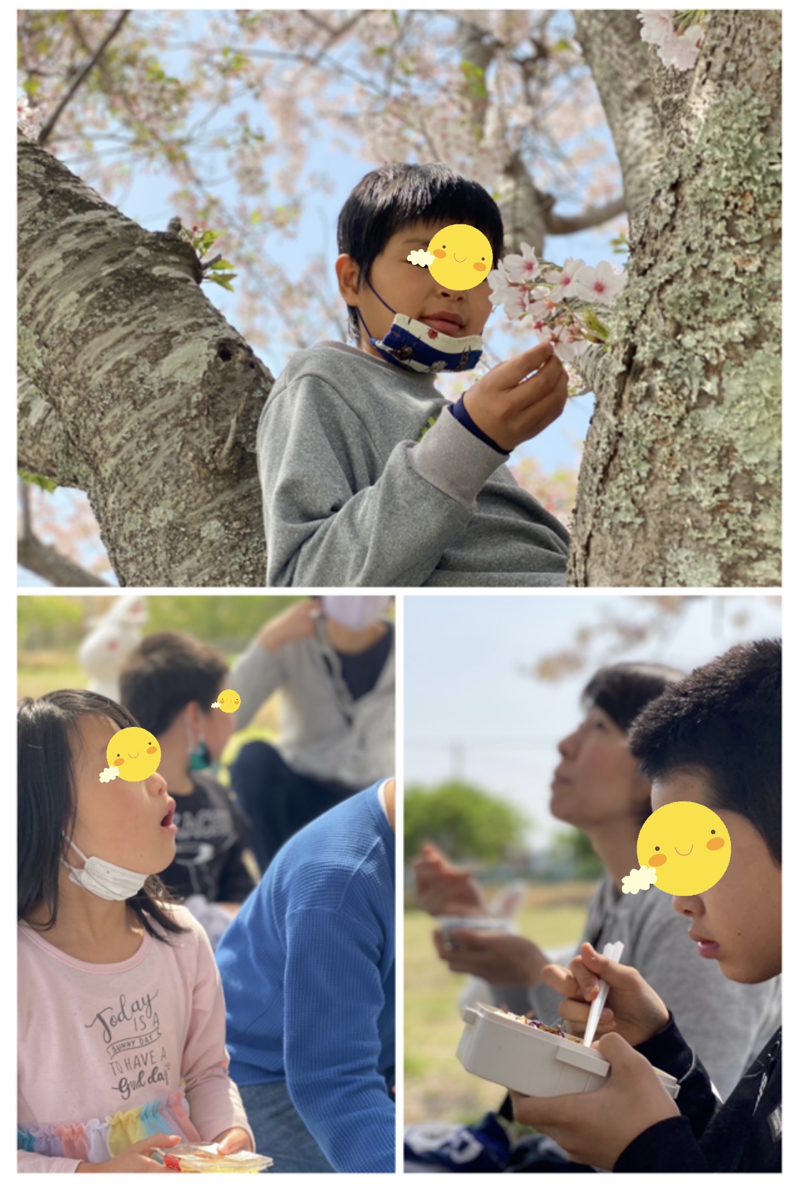 8E6B5CF0-991A-4D94-9890-93056A28DC0C