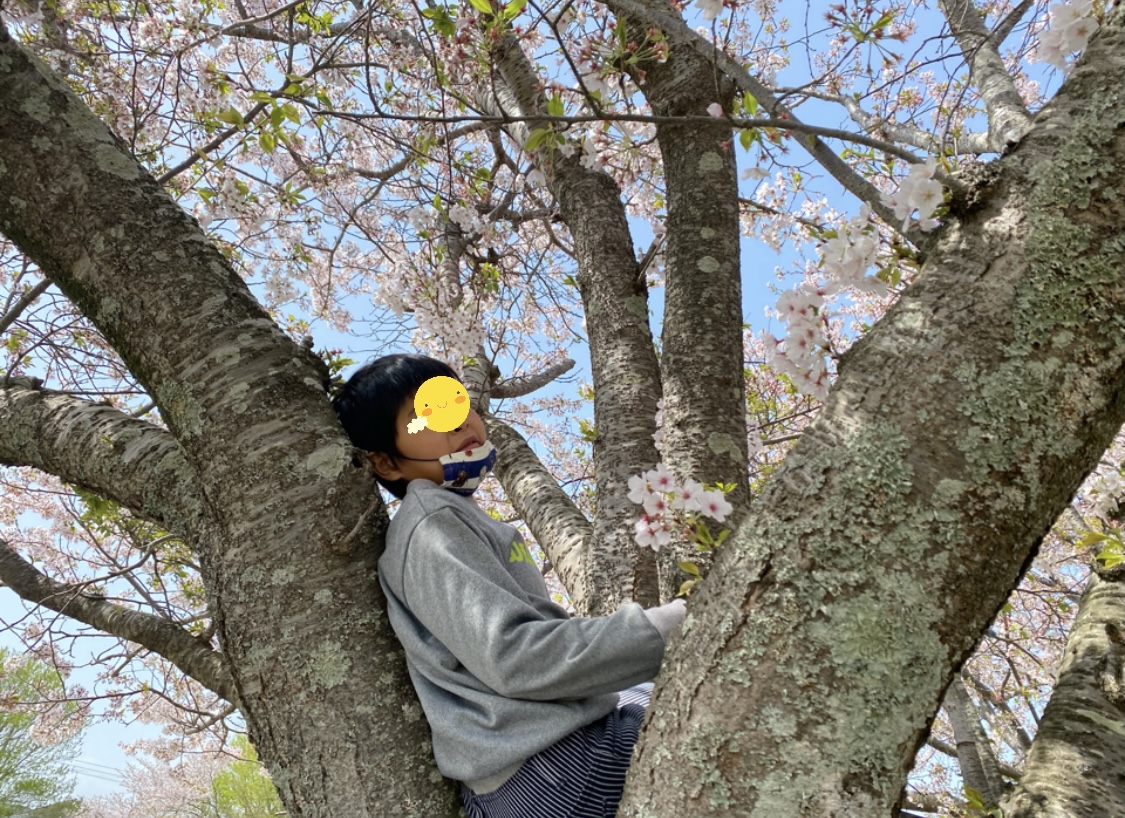 93DD505C-9DFE-4611-AE8C-813623DB6C8C