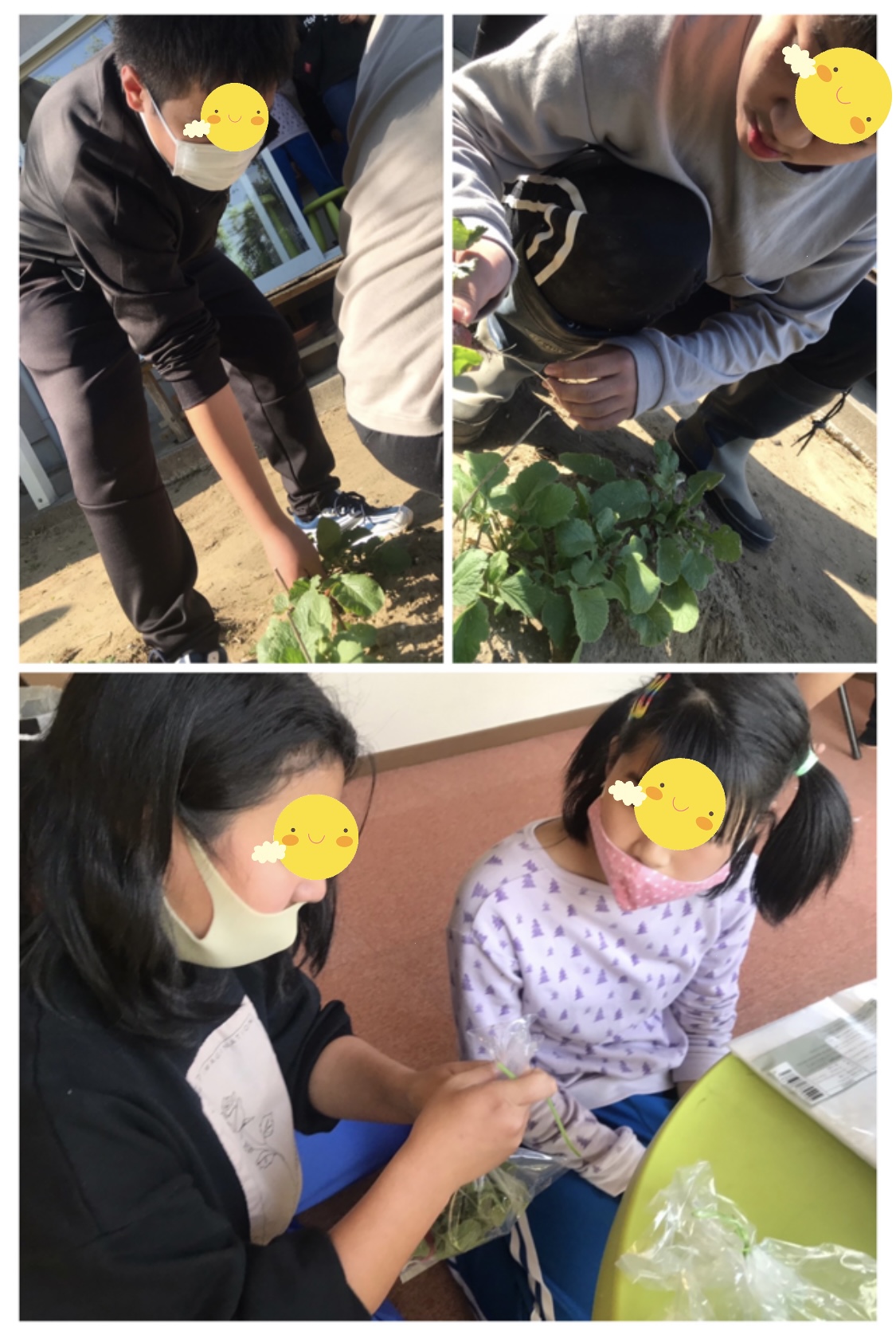 BB0A1E26-2A8C-469E-ACCB-7A508EE79235