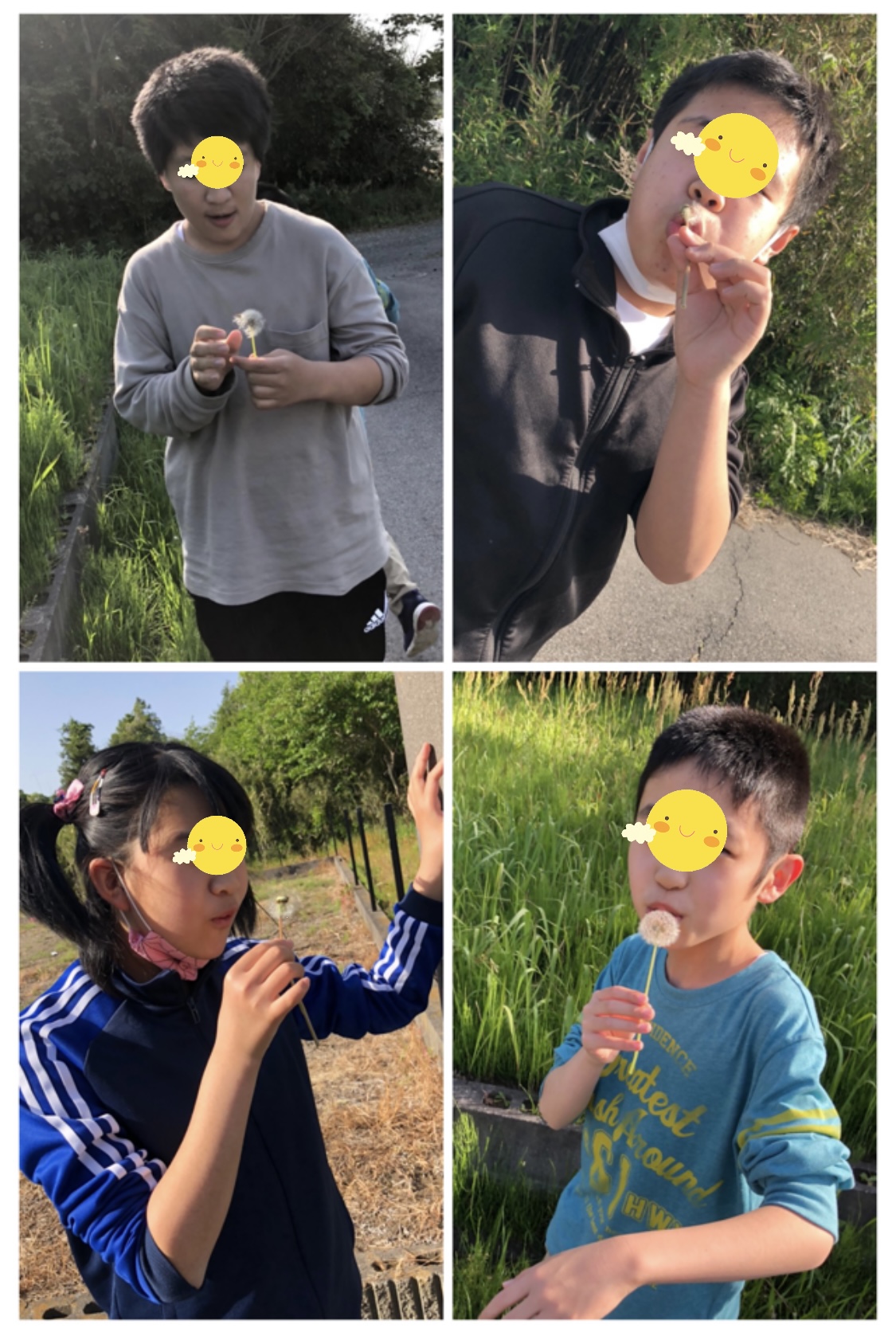 1616D846-BBD9-482B-A636-DC4DB255DE5C