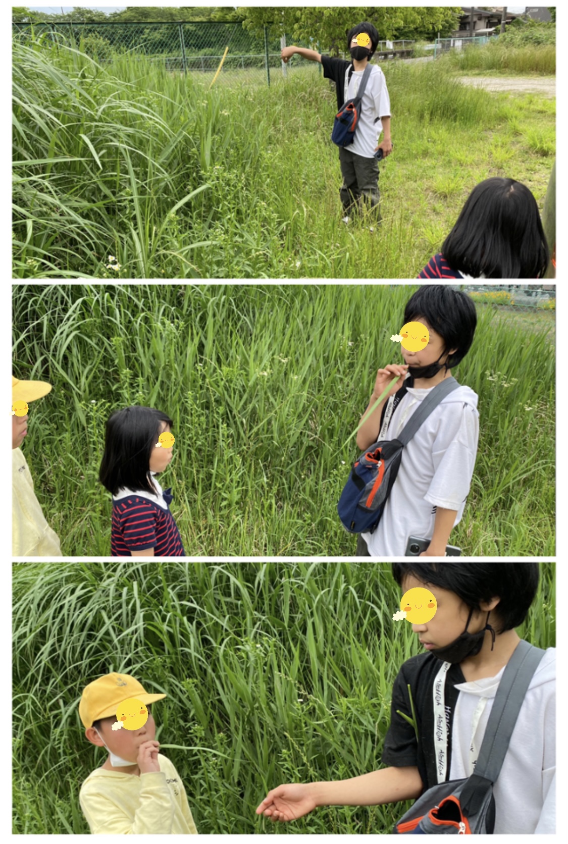 5646D26E-4C6E-434F-9948-AE4AA6369378