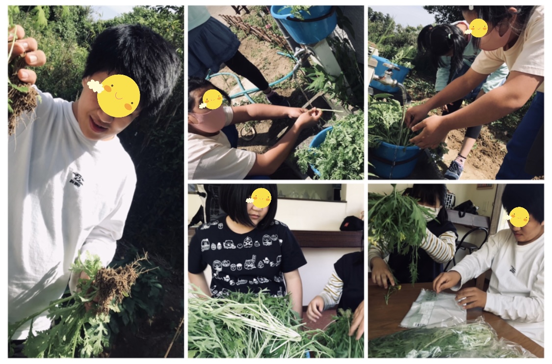 5E572797-D332-4B15-B65D-921658B0C8E0