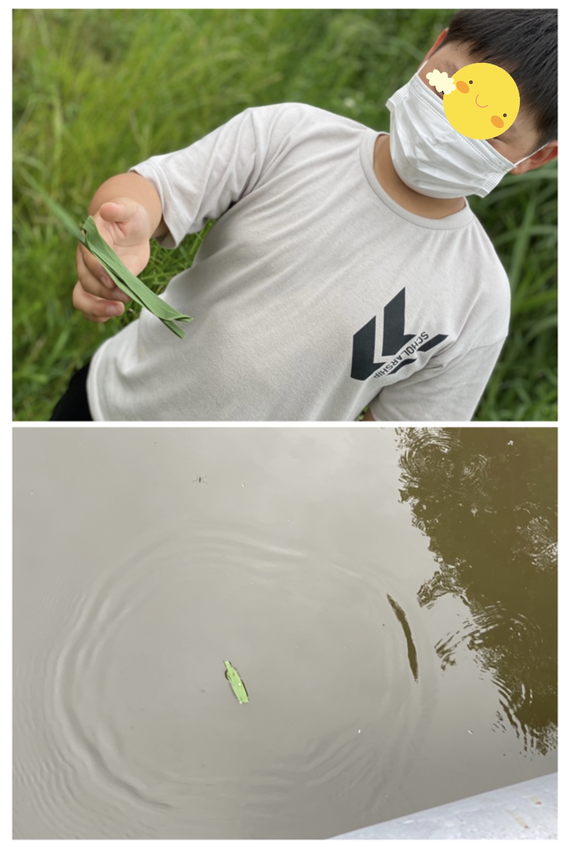 994AEFF2-342F-410E-BE25-E732ADB08A22