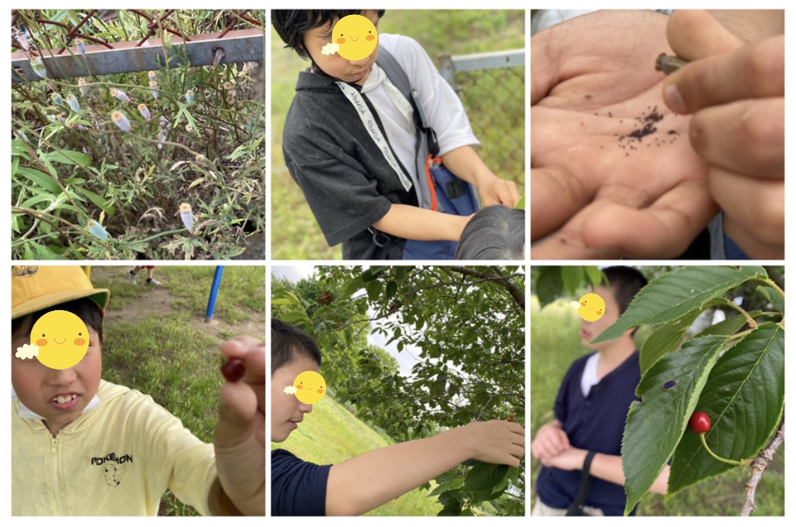 ABBE98EF-A72A-4A54-B153-3549E99EAE85