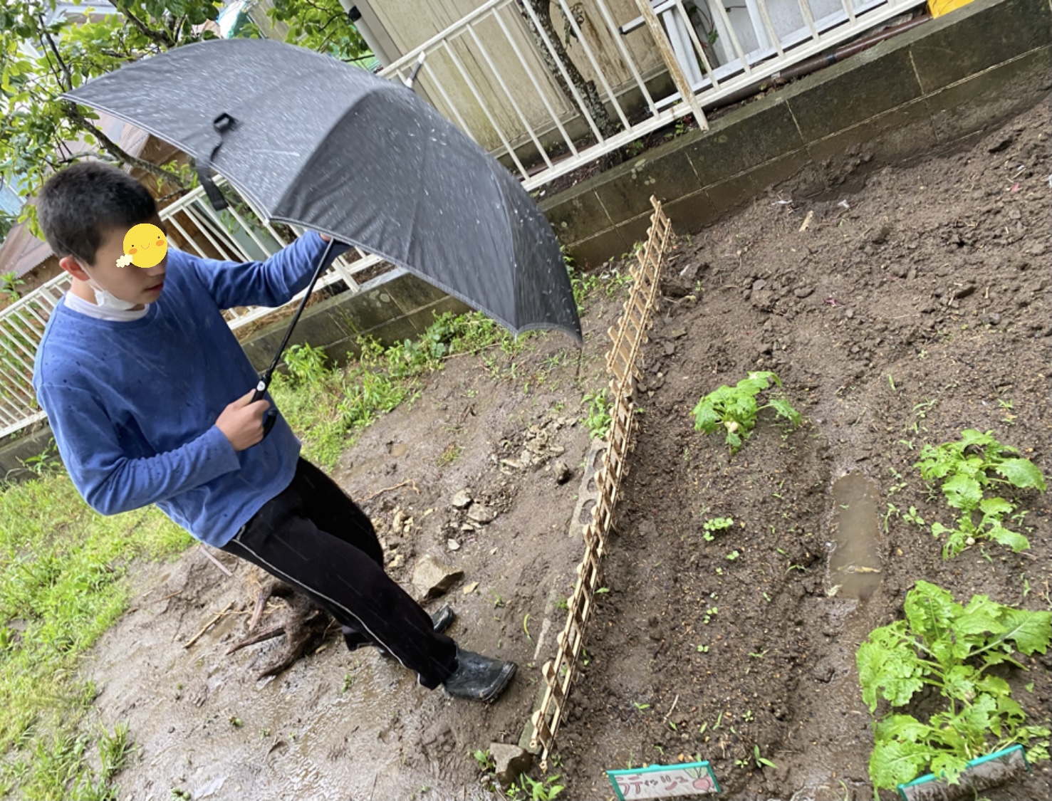 E89FF7C8-E49F-450B-89EB-7D4F1BF61528