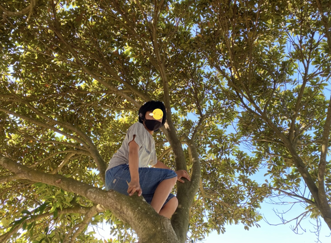 0177949D-883A-4492-83C7-531A8970FF69