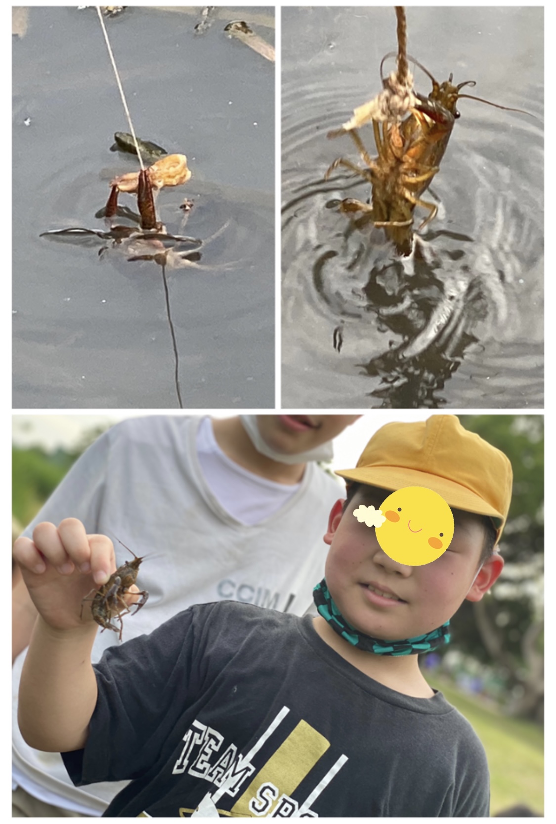 1530425A-5389-4B26-8E0F-896A4B0B27ED