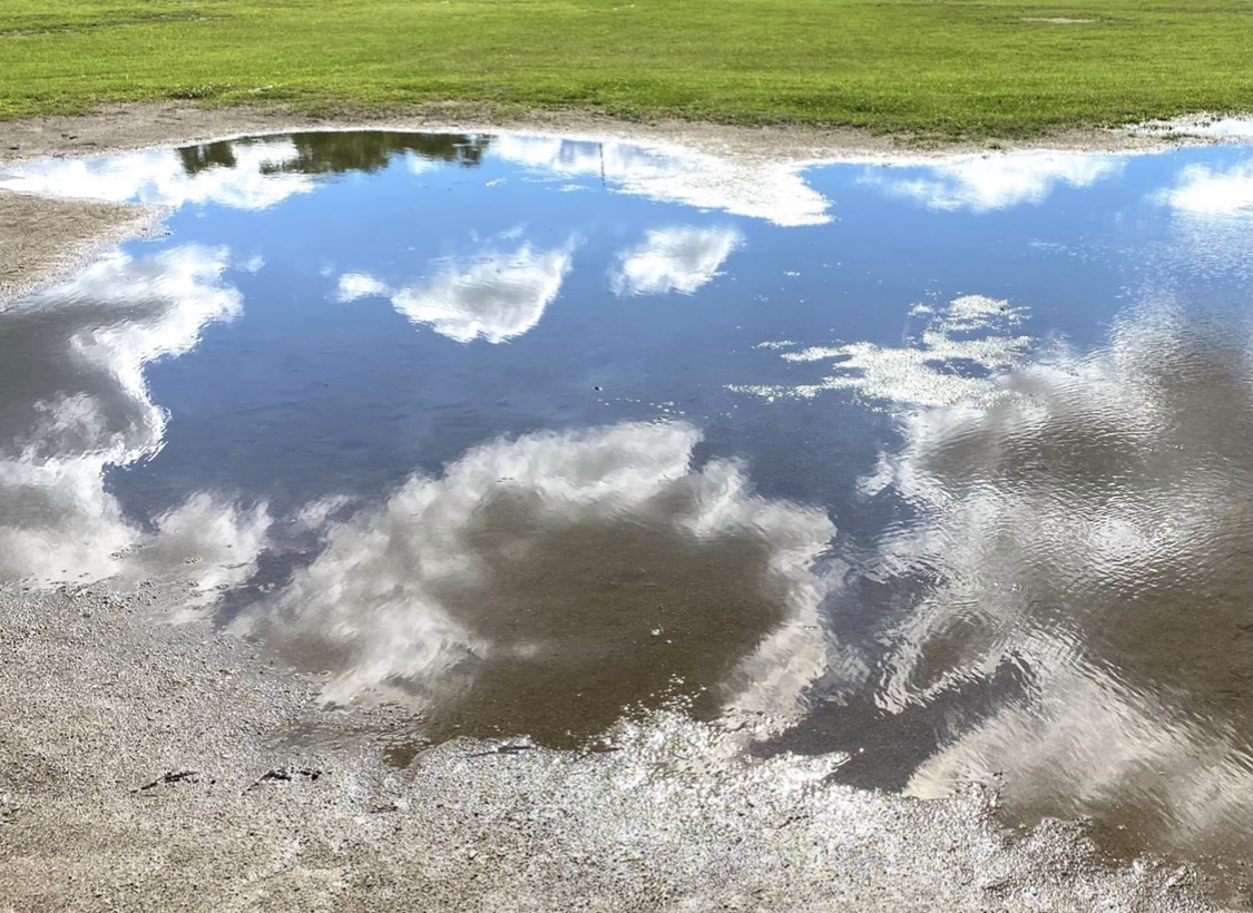 1D27162D-AE97-444F-8280-EA0B44E90018