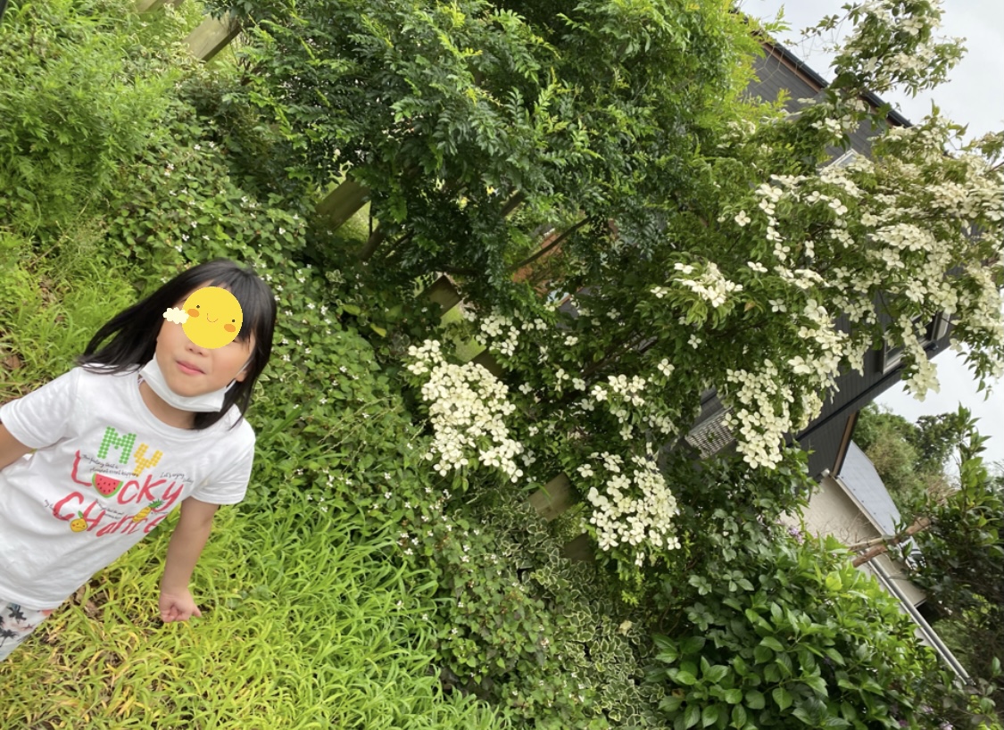 27E5E8AC-E954-4E47-8A50-825EDEF1FE37