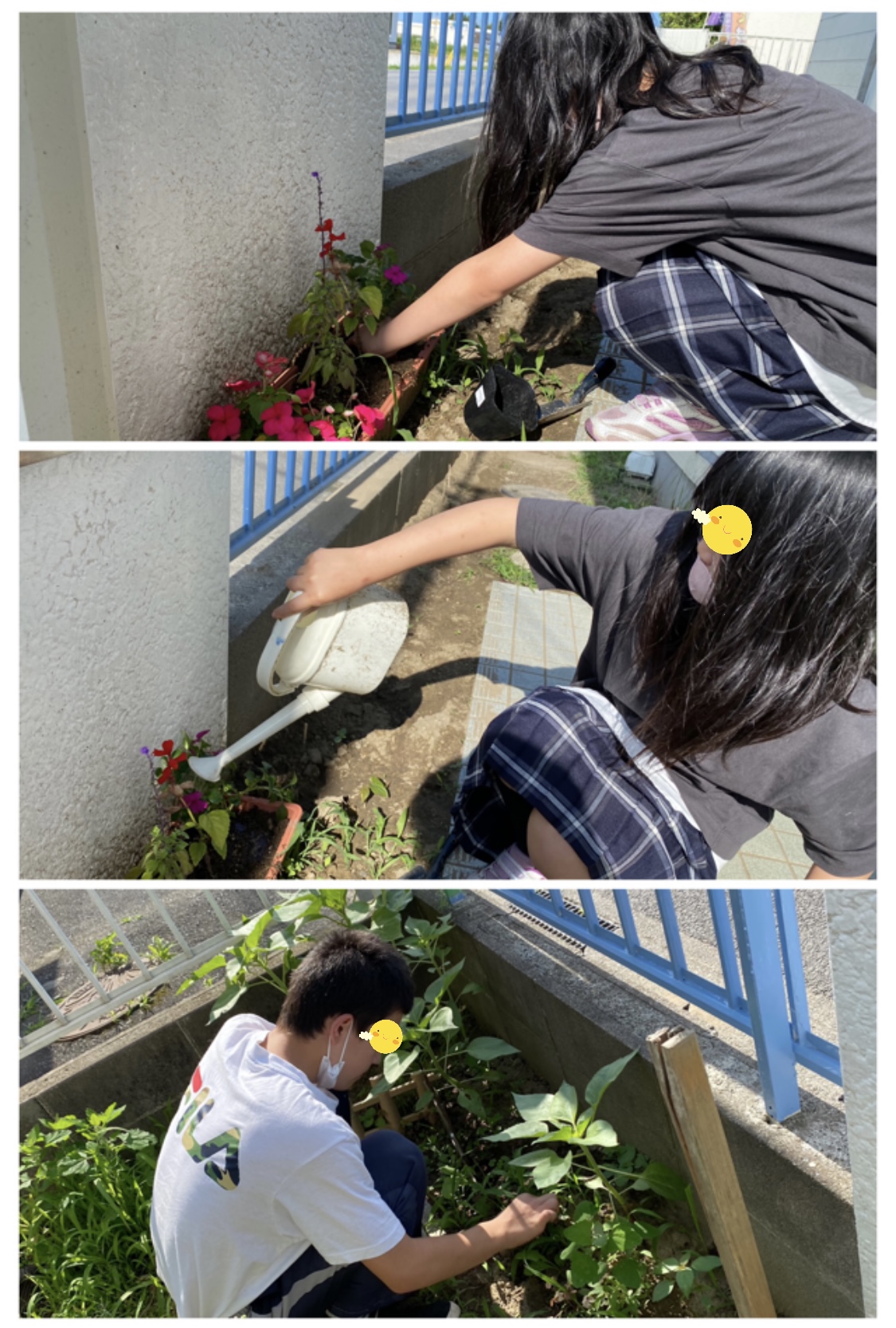 4D90FF54-5DC2-4C87-B9AE-DF84E7608820