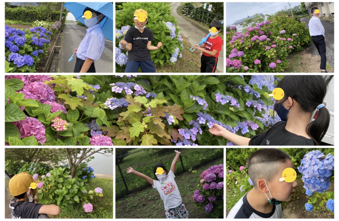 4F1BCFEE-2A92-4862-9993-6EAD49E428E2